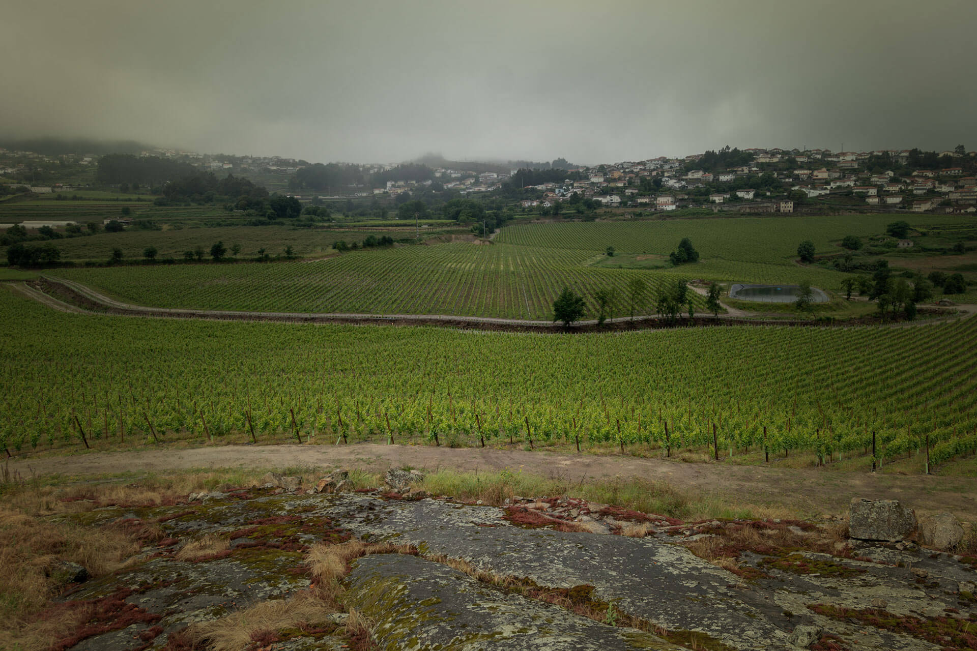 Quinta de Ruivães