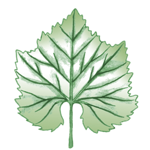 Trajadura 