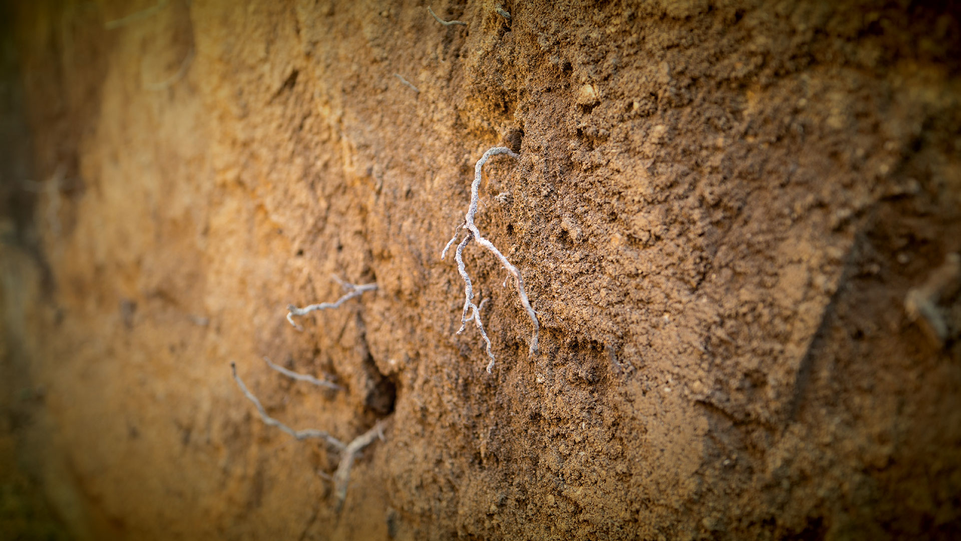 Granite and clay soil profile